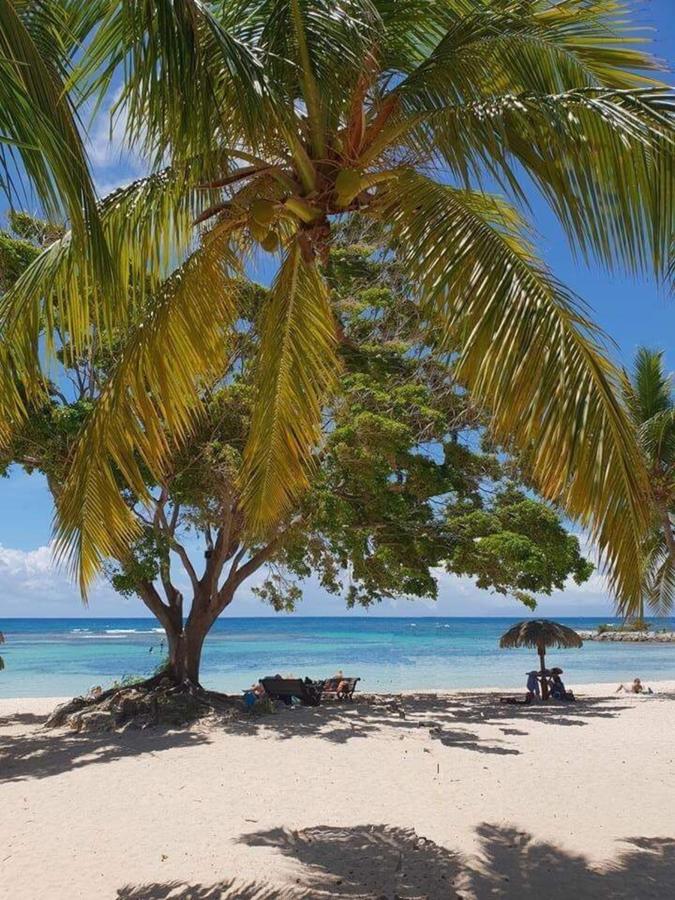 Ti.Maanga Vue Mer Pieds Dans L'Eau Leilighet Saint-Francois  Eksteriør bilde