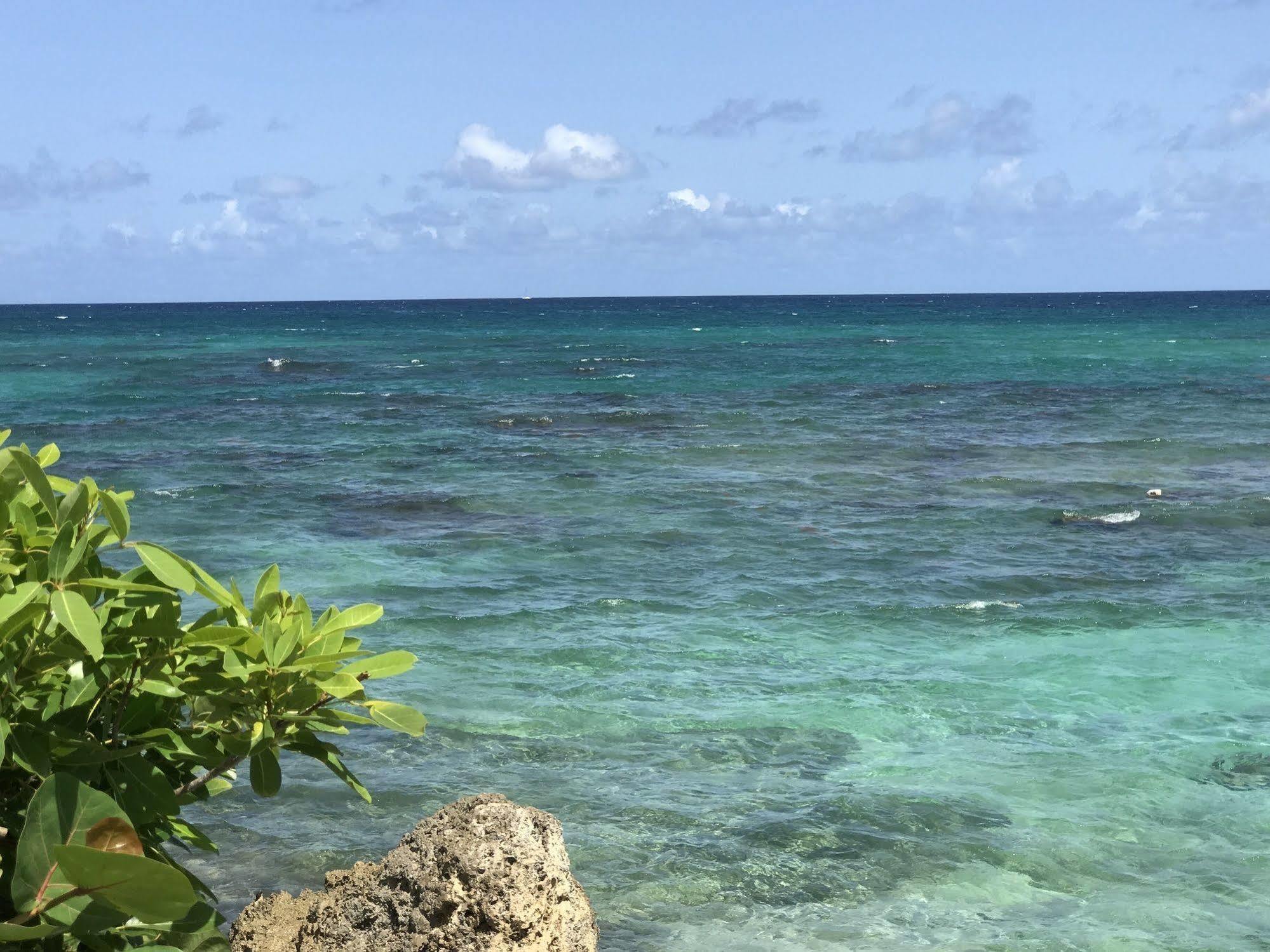 Ti.Maanga Vue Mer Pieds Dans L'Eau Leilighet Saint-Francois  Eksteriør bilde