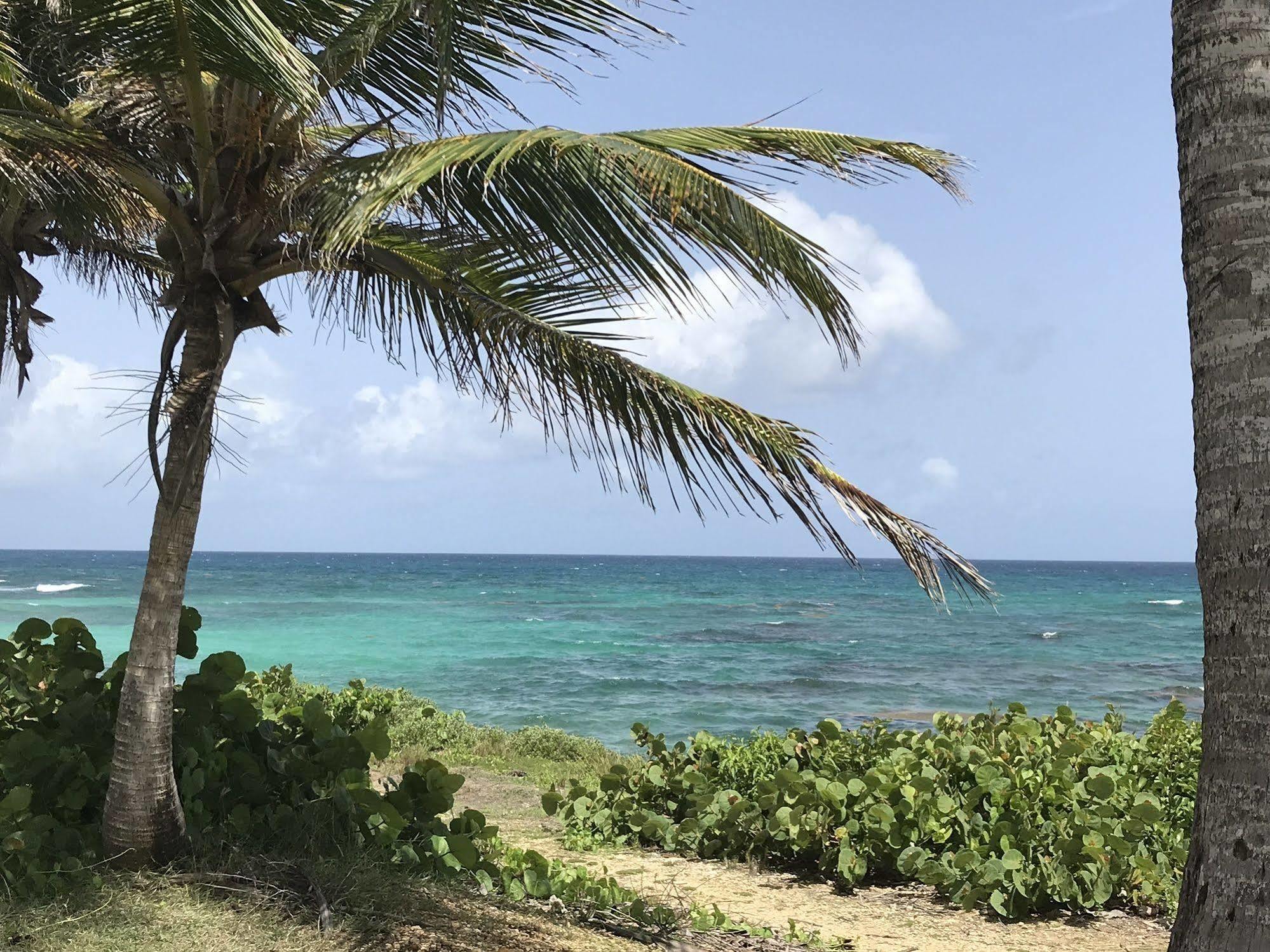 Ti.Maanga Vue Mer Pieds Dans L'Eau Leilighet Saint-Francois  Eksteriør bilde