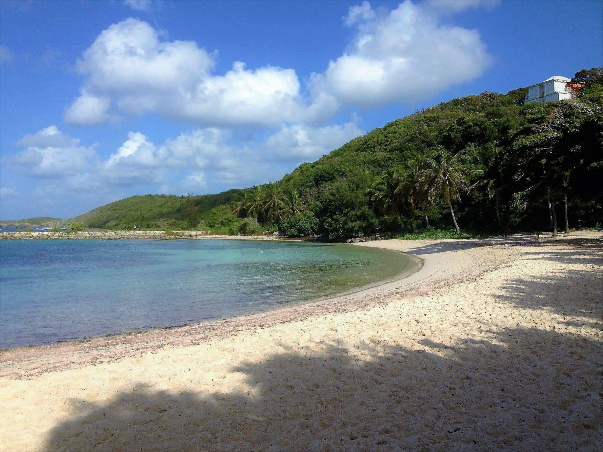 Ti.Maanga Vue Mer Pieds Dans L'Eau Leilighet Saint-Francois  Eksteriør bilde