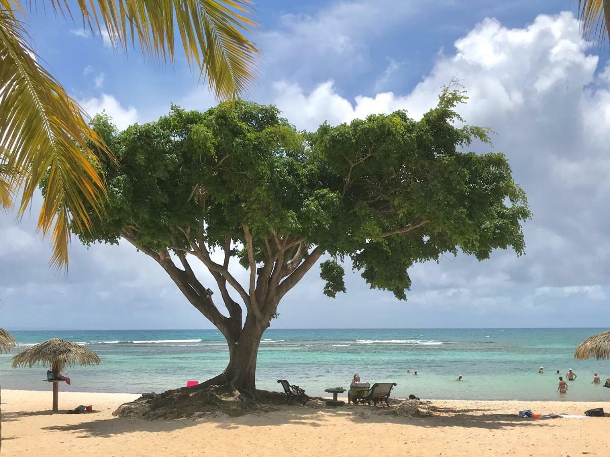 Ti.Maanga Vue Mer Pieds Dans L'Eau Leilighet Saint-Francois  Eksteriør bilde